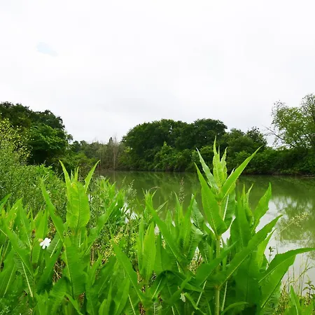 וילה Nico - Clevacances 3 Cles Lannes