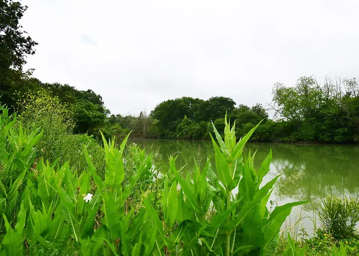 Willa Nico - Clevacances 3 Cles Lannes